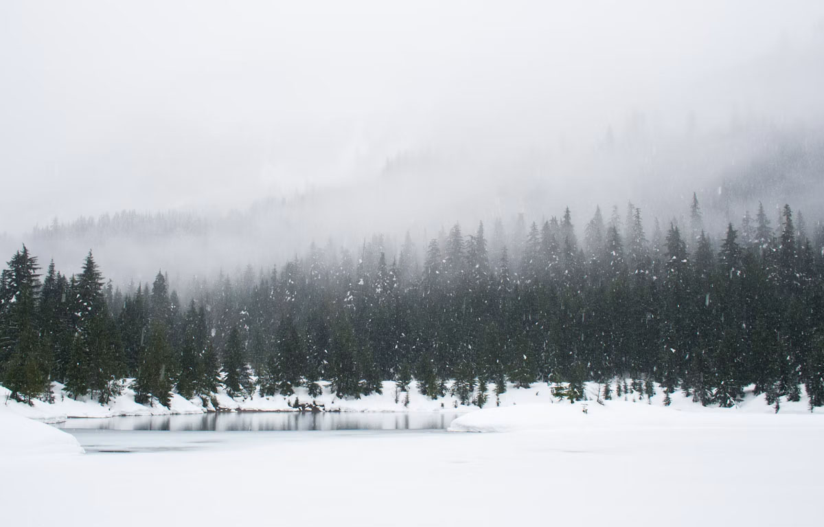 老雪场