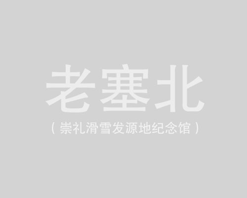 老雪票